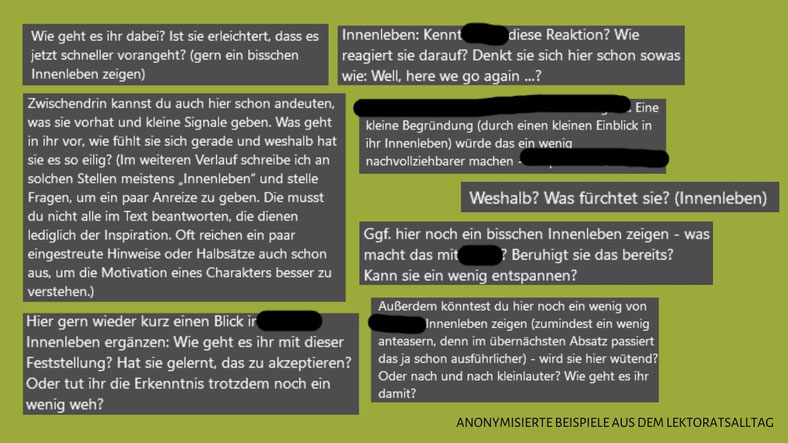 Anonymisierte Lektoratskommentare zur Innenschau