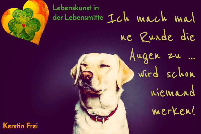 Kerstin Frei. Lebenskunst in der Lebensmitte mit Bello & Bella. Online Magazin. Gesundheit