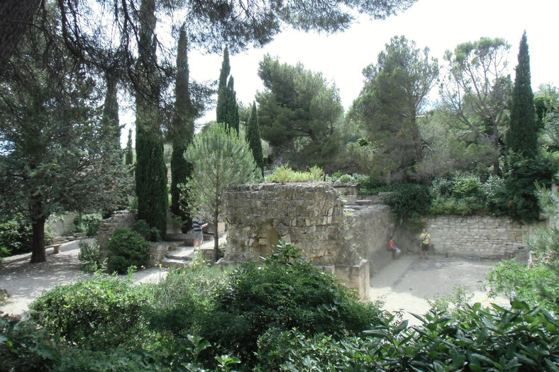 Bild: Les Jardins de l´Abbaye Saint André in Villeneuve-lès-Avignon 