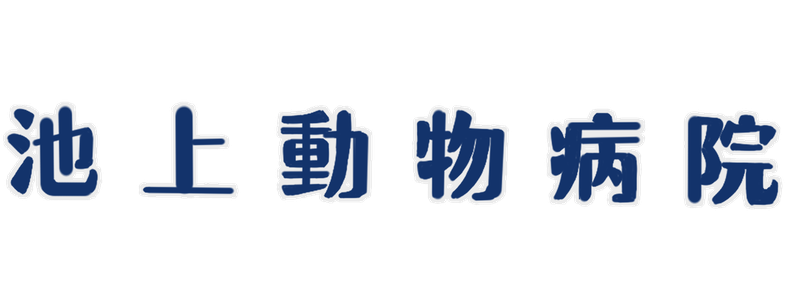 池上動物病院