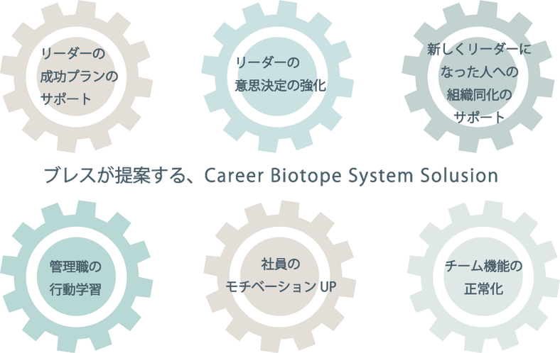 Career Biotope System Solution