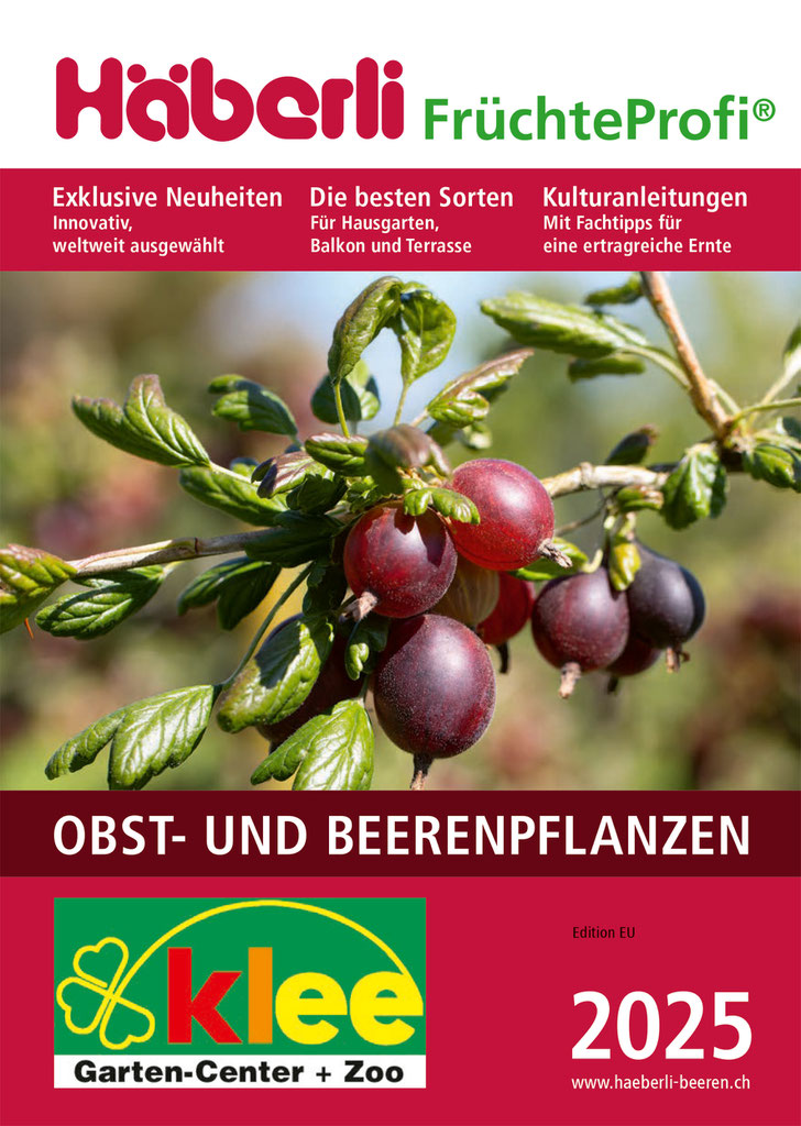47+ Gartencenter Klee Leipzig Schoko Minze Pflanze, Bio schokominze