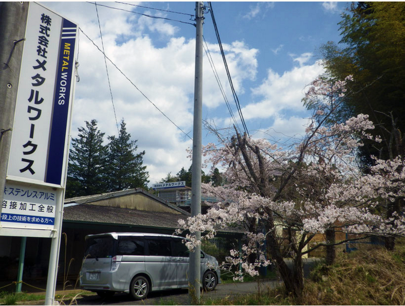 桜がきれいでした！