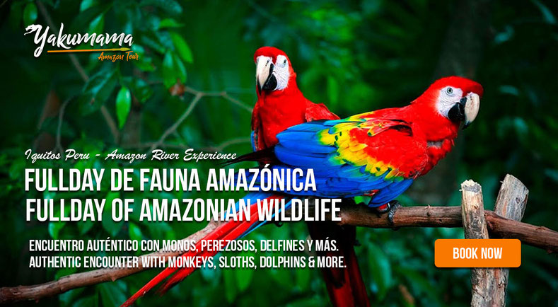 tour iquitos animales full day