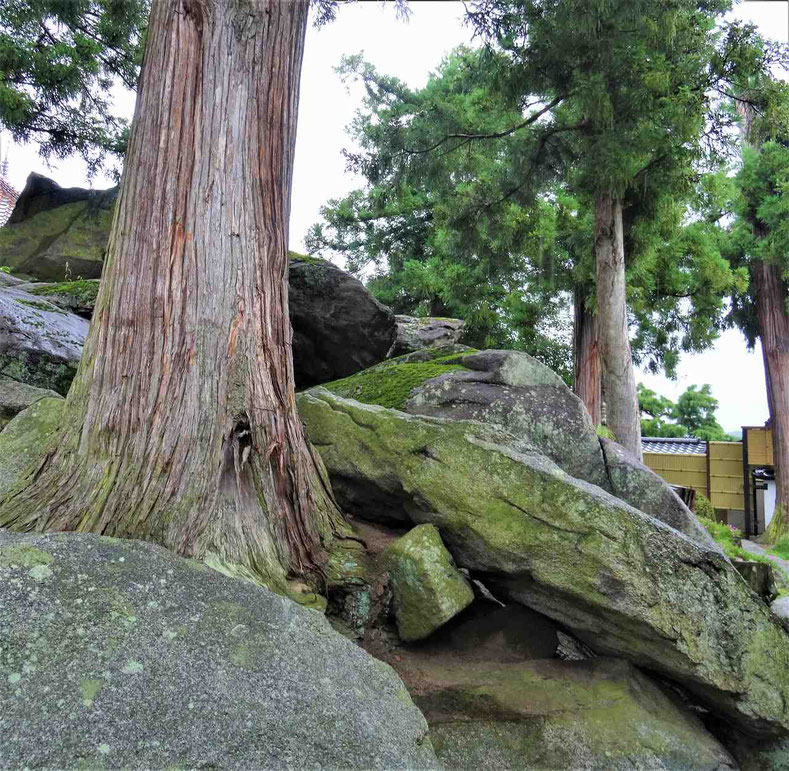 安達ケ原