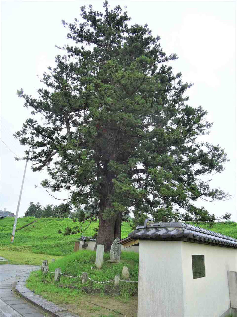 黒塚