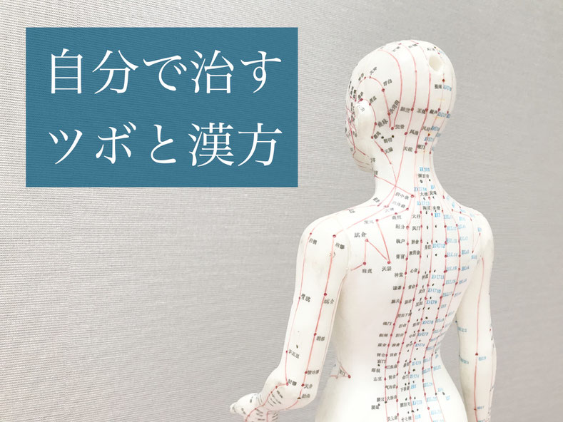 腰痛・ぎっくり腰・鍼灸師がおススメする自分で出来るセルフケアを紹介・攅竹・ツボ・経穴・東洋医学・鍼灸・漢方・漢方薬