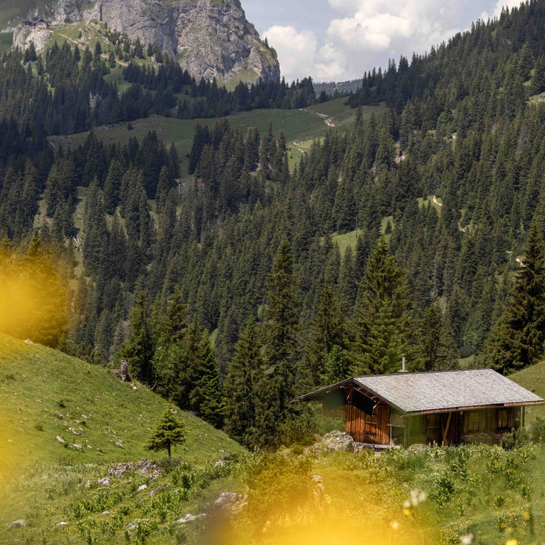 Eine urige Almhütte liegt eingebettet in die eindrucksvolle Berglandschaft des Tannheimertals, umgeben von saftigen Wiesen, dichten Wäldern und markanten Gipfeln. Von DER ENGEL im Tannheimertal aus führen zahlreiche Wanderwege zu den schönsten Plätzen der