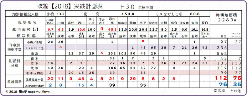 梅園地【改植2018】実践計画表  和×夢 nagomu farm