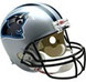 PANTHERS