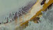 Peinture_paysages_Yannick Charon