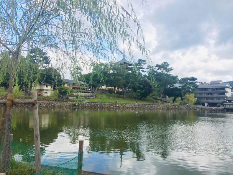 観光スポットの奈良公園や猿沢池からも徒歩圏内です♪