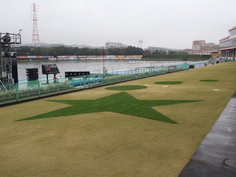 2021年１１月２２日　　　　ボートレース多摩川　　　　コウライシバにブルーグラス張芝