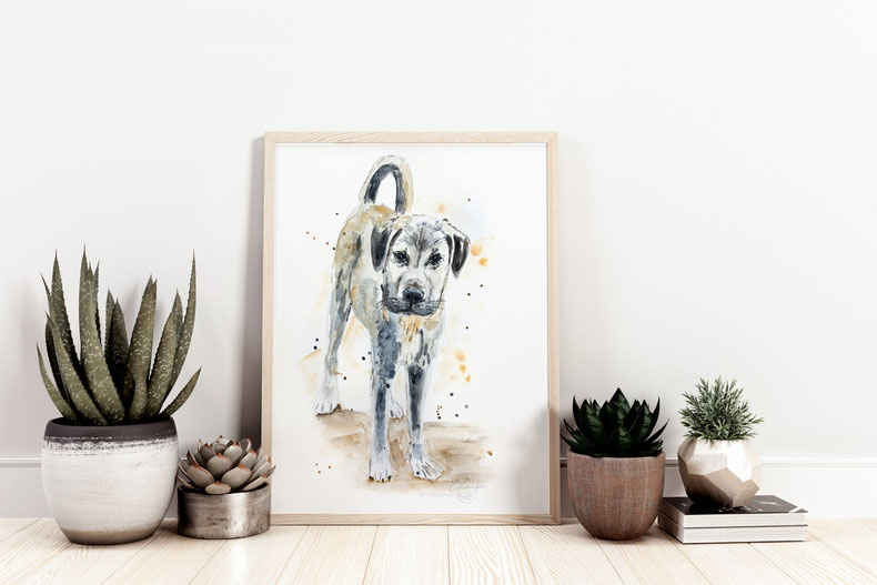 Kangal, Hirtenhund, Hund, Hundeportrait, dog, dogportrait, dogart, Hundeschutz, Hunderettung, Tierschutz, fox, fox den, Aquarell, watercolour, watercolor, illustration, animal conservation, nature, Original, Kunst, Gemälde