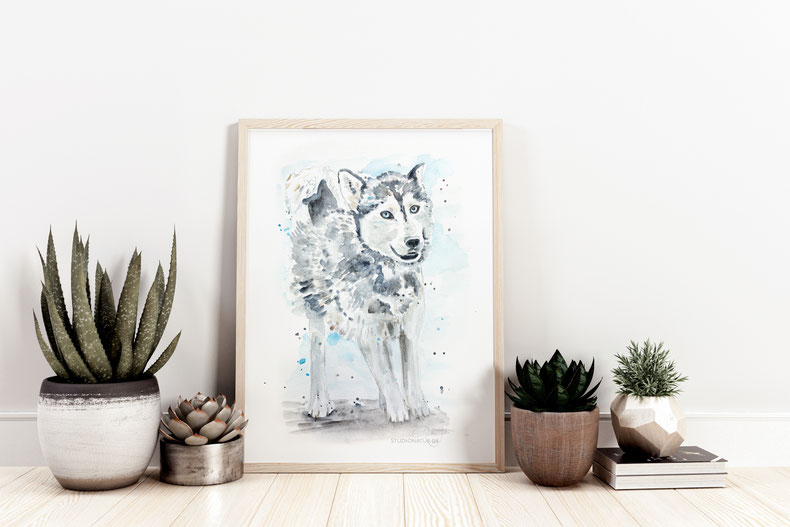 Hund, Hundeportrait, dog, dogportrait, dogart, Hundeschutz, Hunderettung, Tierschutz, fox, fox den, Aquarell, watercolour, watercolor, illustration, animal conservation, nature, Original, Kunst, Gemälde