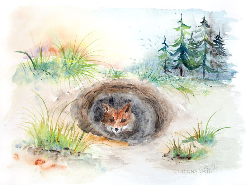 Fuchs, Fuchsbau, Tierschutz, fox, fox den, Aquarell, watercolour, watercolor, illustration, animal conservation, nature, Original, Kunst, Gemälde