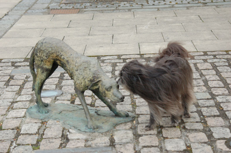 Hundefigur vom Flüchtlingsdenkmal - Lady kontrolliert, ob dieser Hund wirklich nicht echt ist