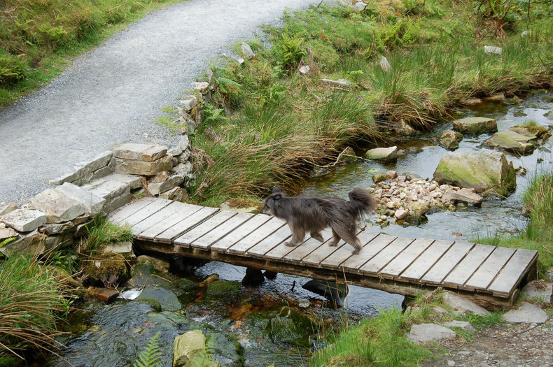 Clonmany, Spaziergang zum Glenevin Waterfall