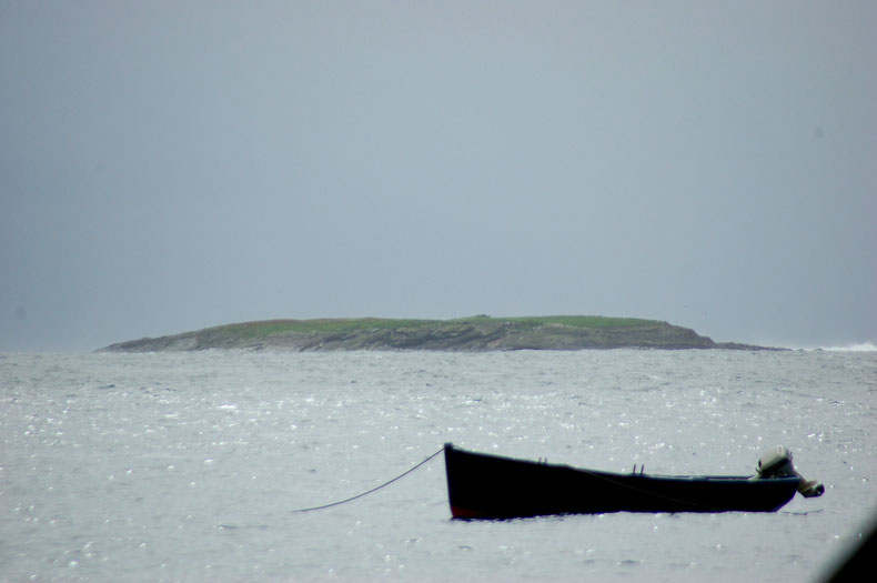 Sicht von Muckros Head auf Insel Inishduff