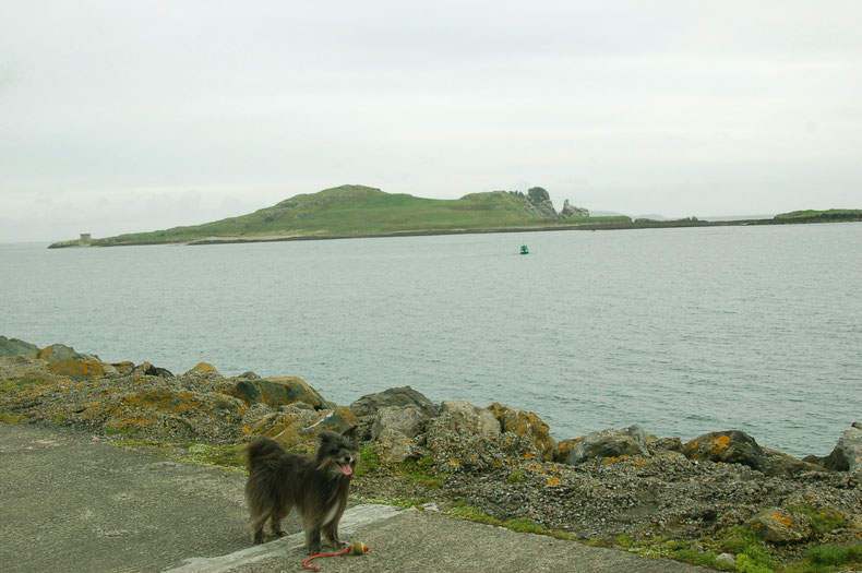 Blick von der Mole in Howth auf die Insel "Irelands Eye"