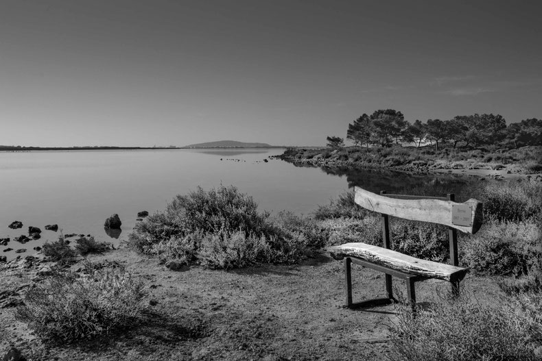banc du souvenir-bw-64