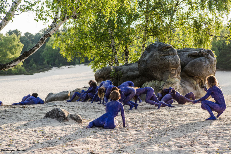 Meute monochrome violet, Fontainebleau , 2013 © Dominique Sécher