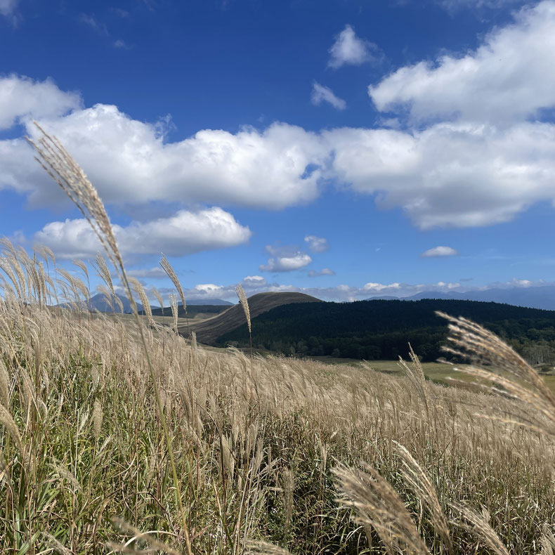 長野県　霧ヶ峰高原　別荘設計　移住　土地探し　建築相談　ビバルデの丘