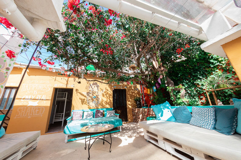 Cosy Patio with natural bougainvillea tree for some shade