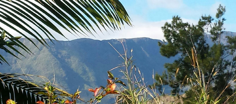 Site de gitesdelacolline !