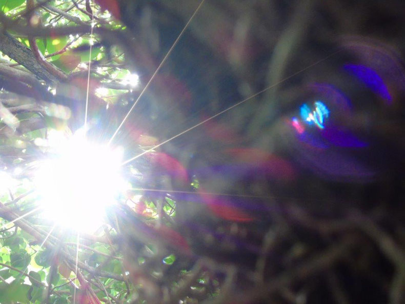 "Vermehrung von Lichtquanten"
