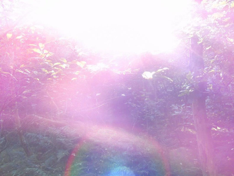 Liebesschwingung in Bewegung, www.lichtwesenfotografie.com