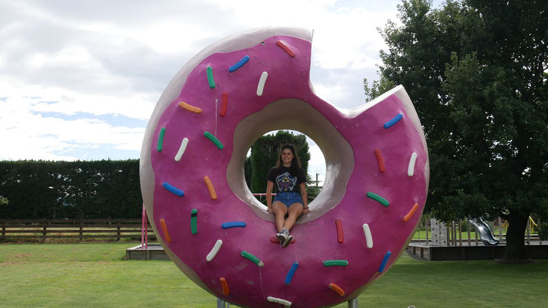 Pause lol dans la ville de Springfield, dans laquelle on trouve le donut de Homer Simpson. Doh !