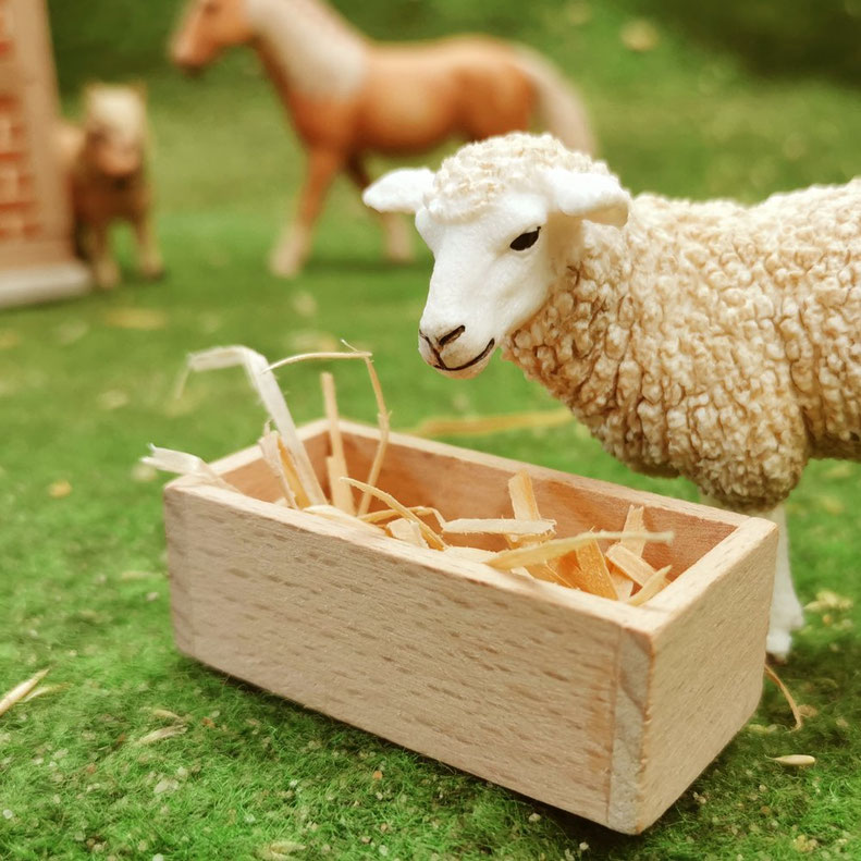 Futtertrog auf grüner Wiese mit Schleich® Schaf