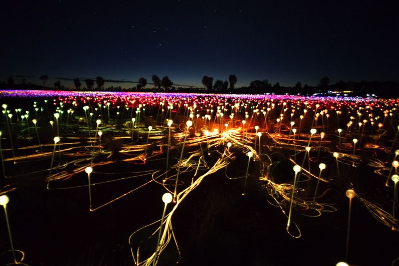 The field of lights close to Uluru