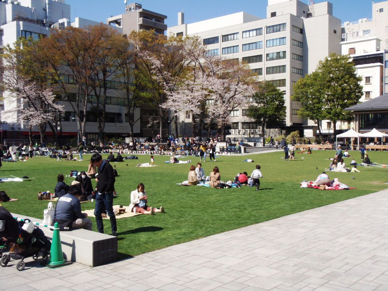 ２０１９年４月３日　南池袋公園　くつろぎの風景　　ティフトン419⁽寒地芝播種有⁾