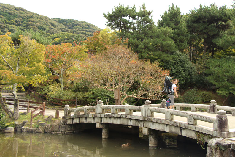 Kyoto - 7 Day Itinerary For Active Families with Small Kids - Maruyama Park