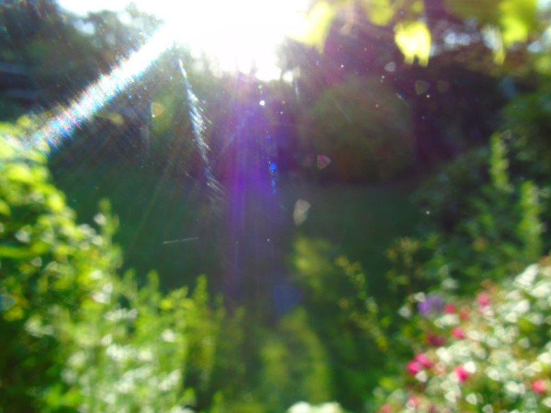 Diamantene Bausteine des Lichts kommen auf der Erde an. Quelle www.lichtwesenfotografie.com