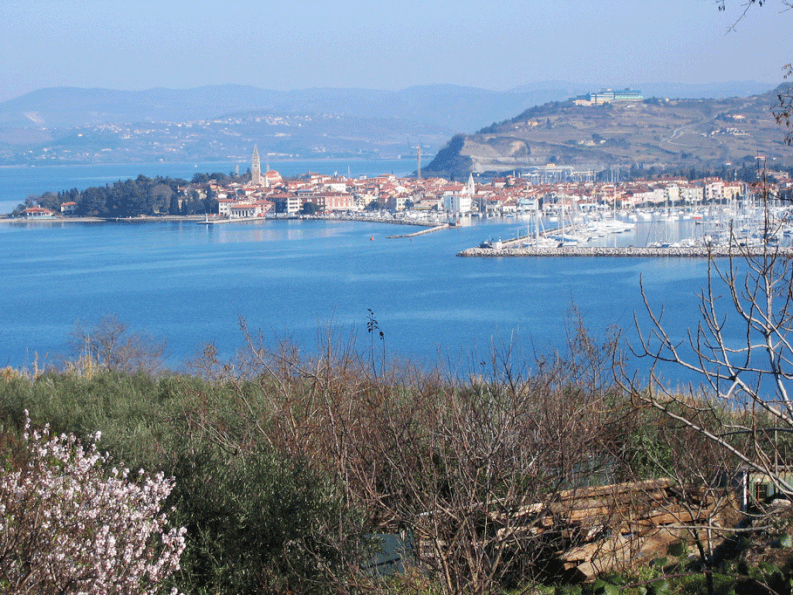 Living in Slovenia - Izola