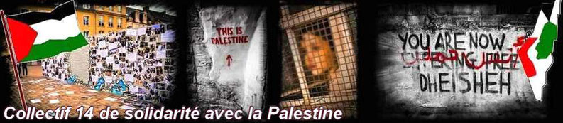 https://collectifpalestine14.jimdo.com/