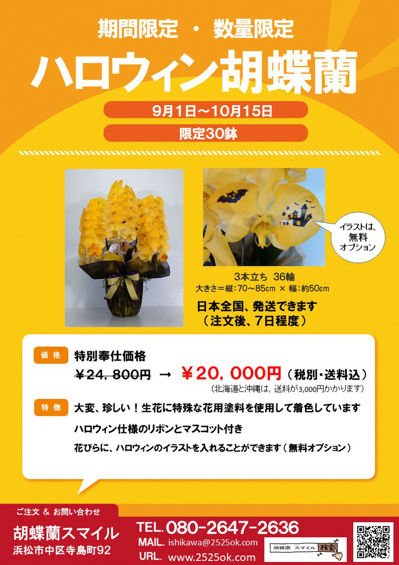 ハロウイン胡蝶蘭 胡蝶蘭の スマイル ハロウイン胡蝶蘭 胡蝶蘭の スマイル