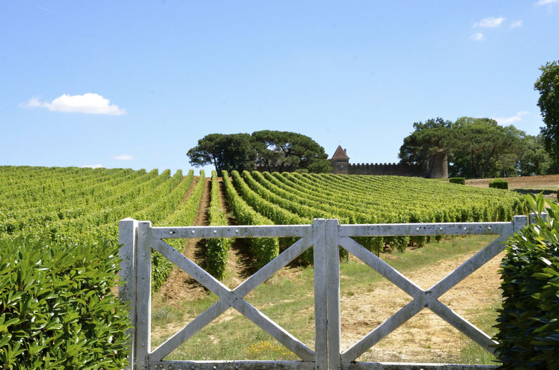 Chateau d'yquem