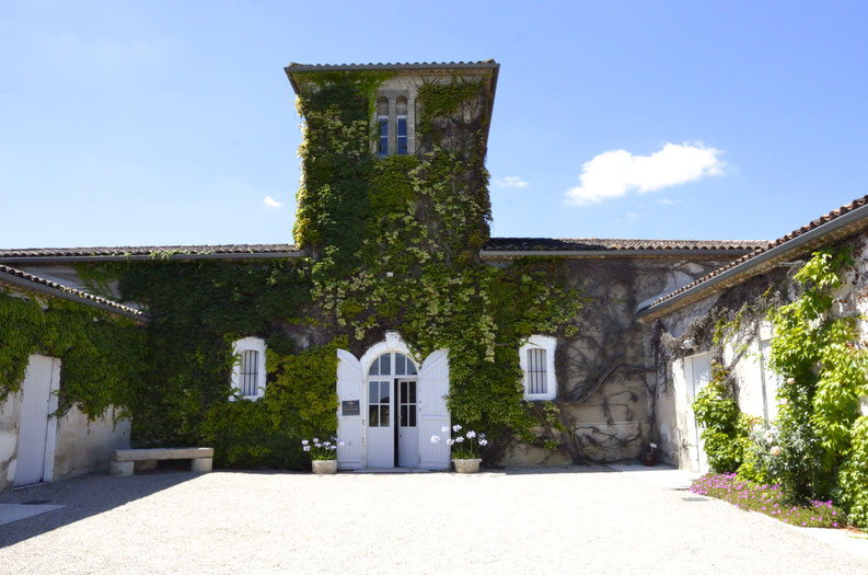 Clos Haut-Peyraguey