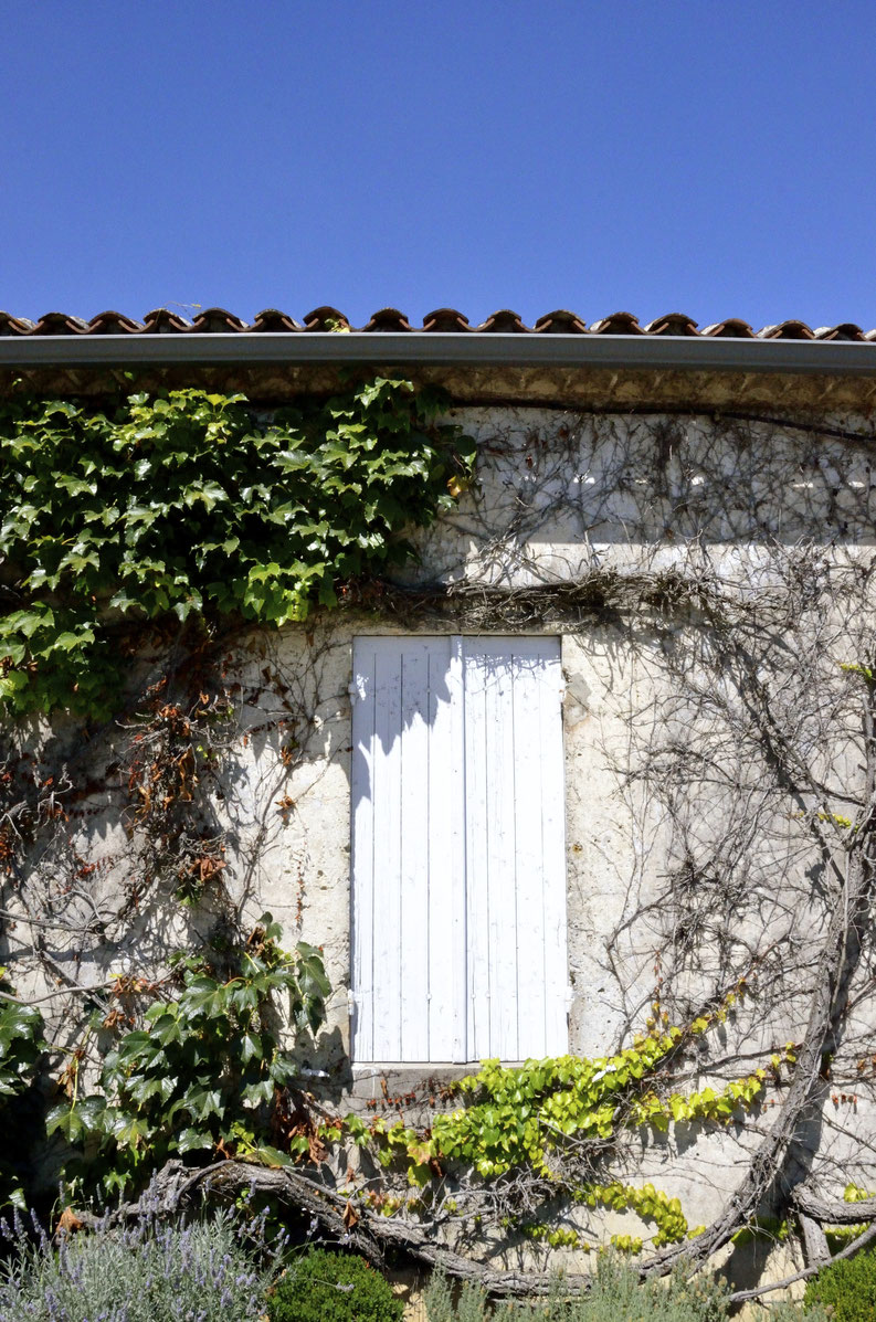 Clos Haut-Peyraguey