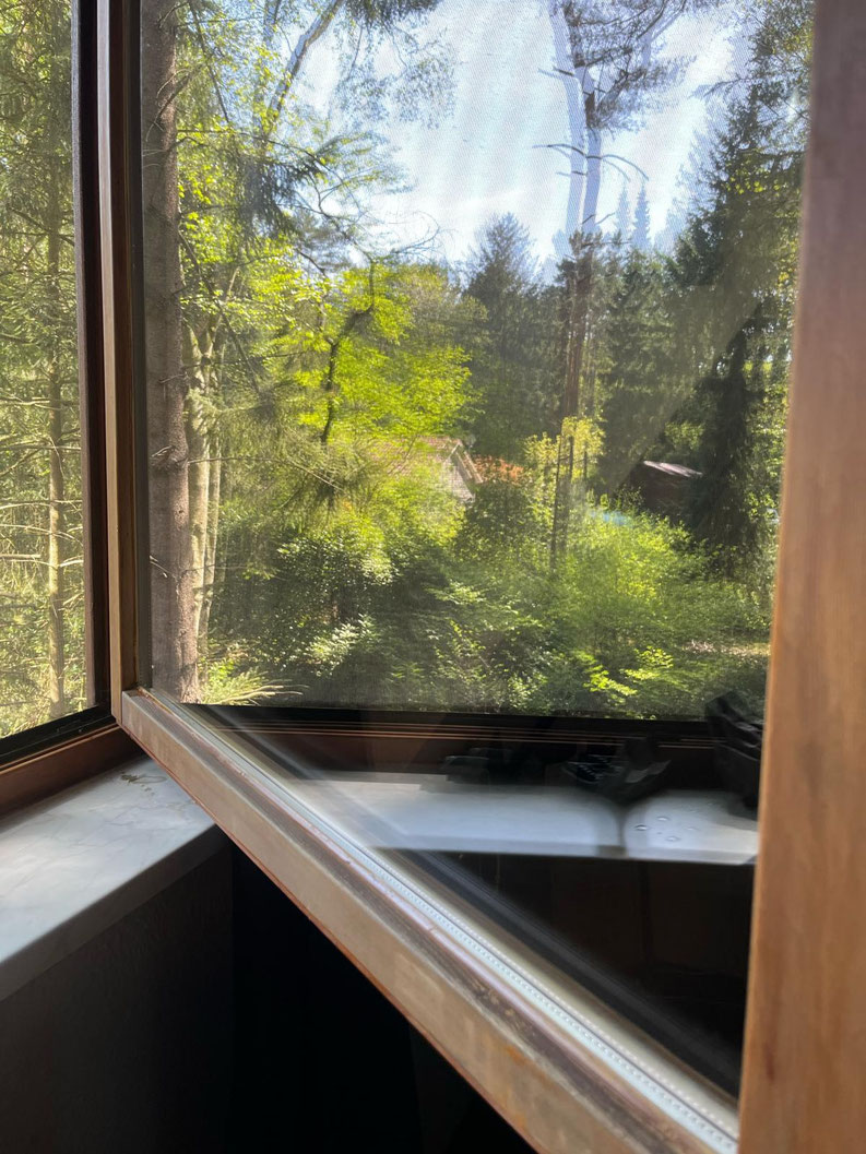 Cleanteam Multiservice - Fensterreinigung - nachher