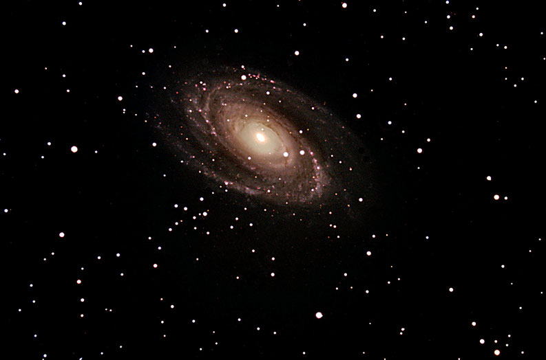 ngc 3031