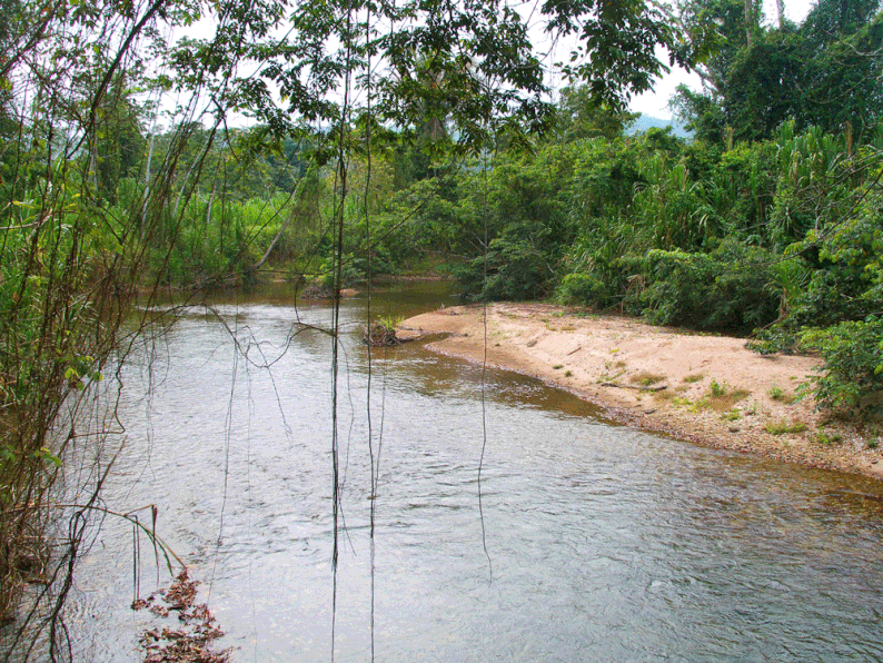 Belize - Cockscomb Basin Wildlife Sanctuary