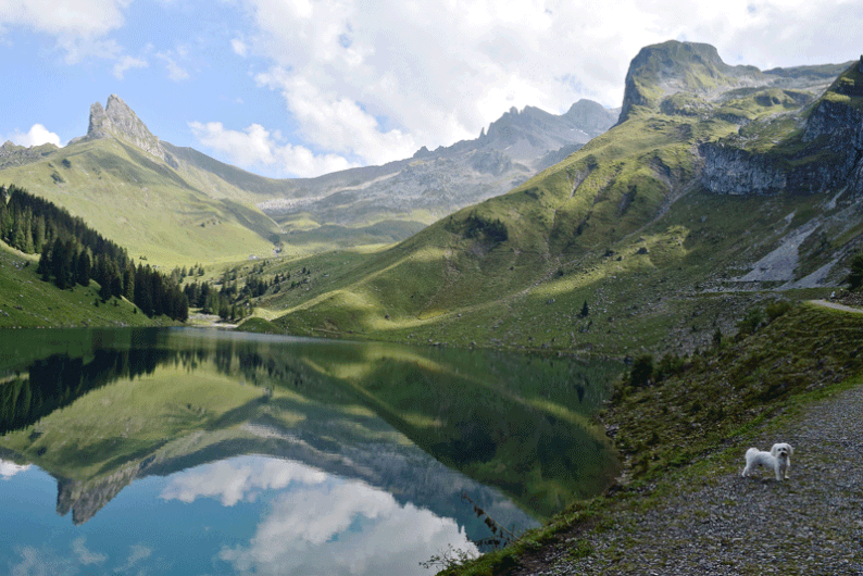 Bannalp Lake - One of Switzerland's Gems