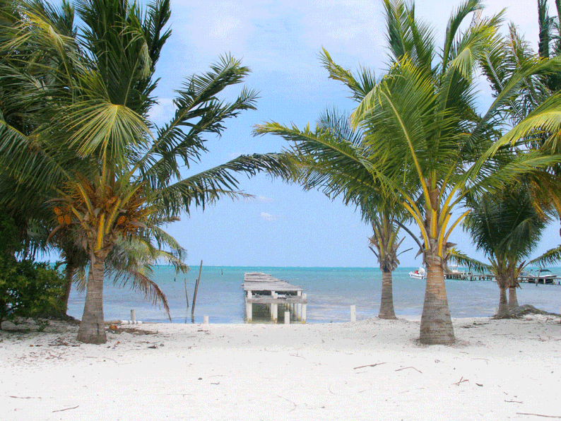 伯利兹- Caye Caulker