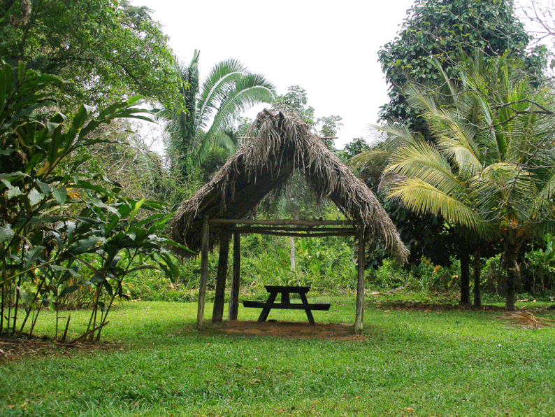 Belize - Cockscomb Basin Wildlife Sanctuary