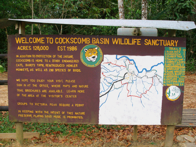 Belize - Cockscomb Basin Wildlife Sanctuary